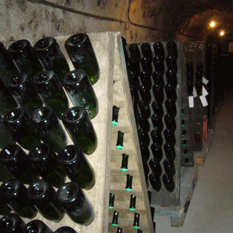 Champagne Alfred Tritant - des pupitres en cave