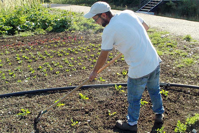 JARDIN BIO DE VAILLANT