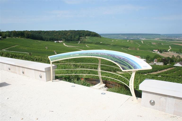 Jardin de Vignes - Cramant 2