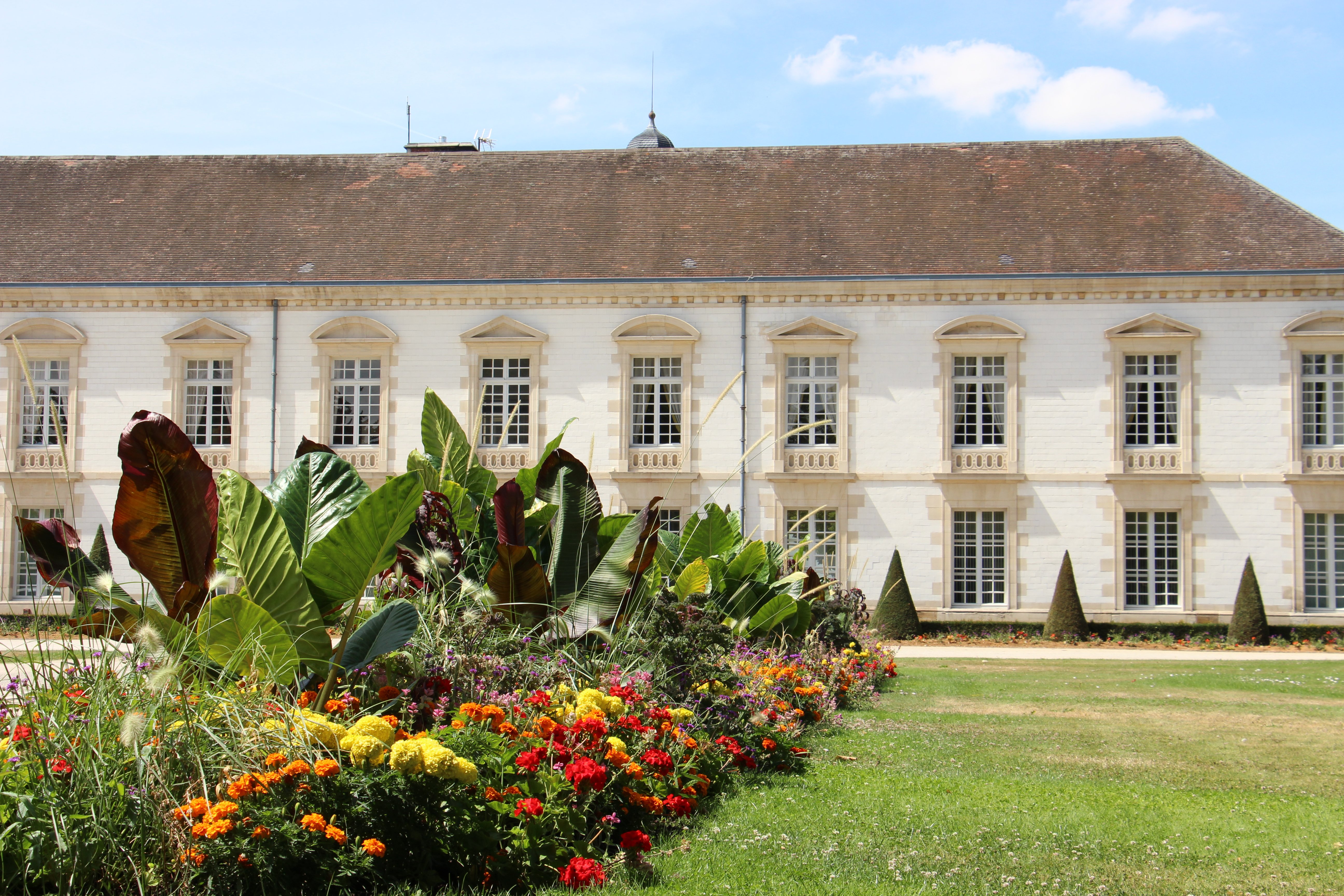 Journées du Patrimoine : Jardin de l'Hôtel de Ville + Arborétum avec tablette numérique