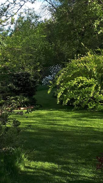 Jardin de l'eau vive