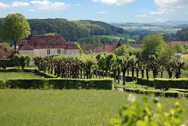 JARDIN DE SILIERE, Cohons - photo 22
