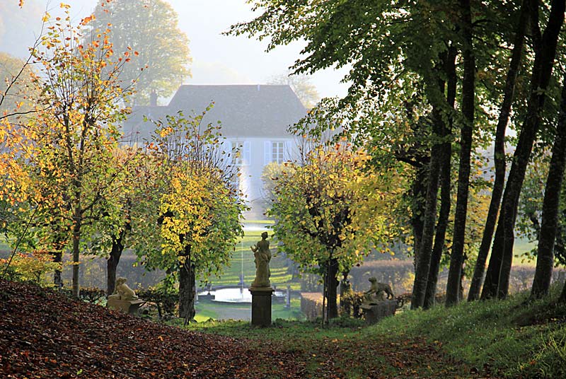 JARDIN DE SILIERE, Cohons - photo 5
