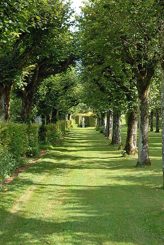 JARDIN DE SILIERE, Cohons - photo 7