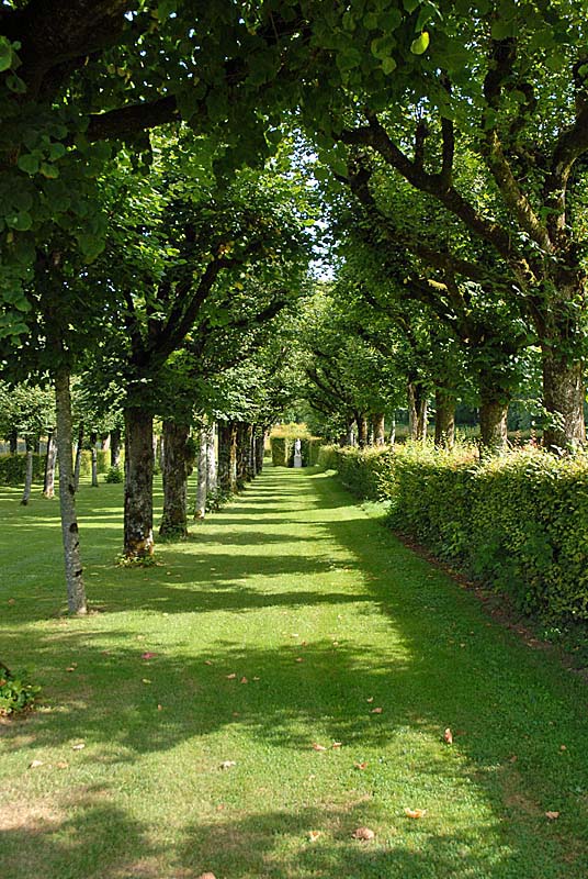 JARDIN DE SILIERE, Cohons - photo 14