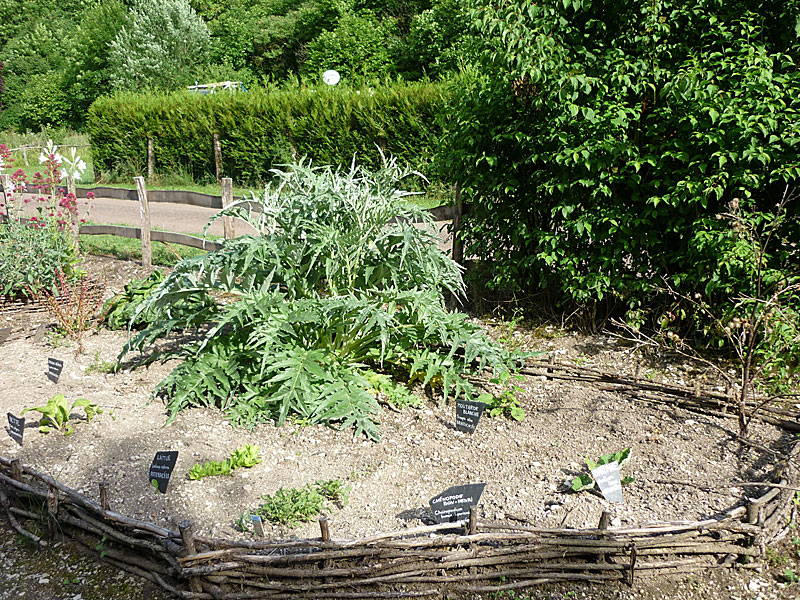 Jardin d'inspiration médiévale, Vignory