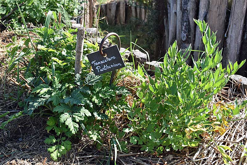 JARDIN NATUR'AILES, Varennes-sur-Amance - photo 4