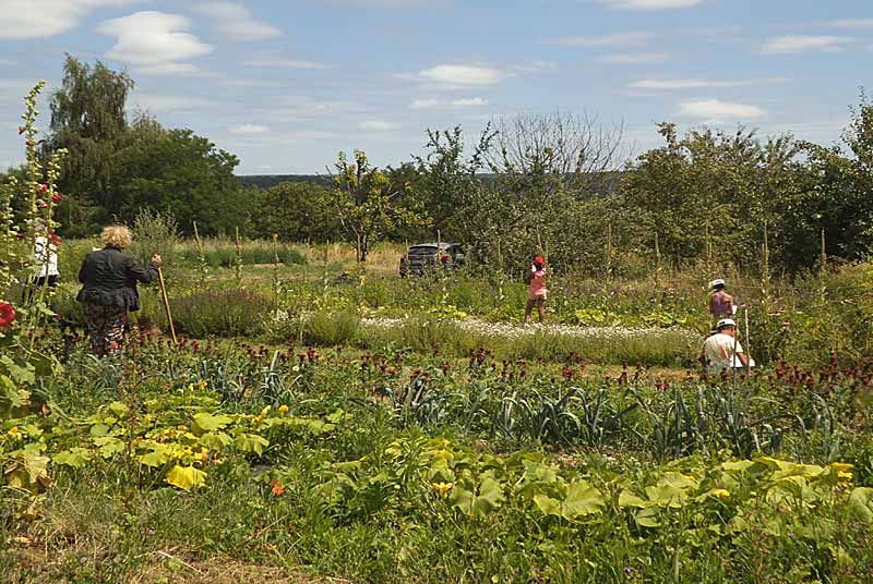 JARDIN NATUR'AILES, Varennes-sur-Amance - photo 9