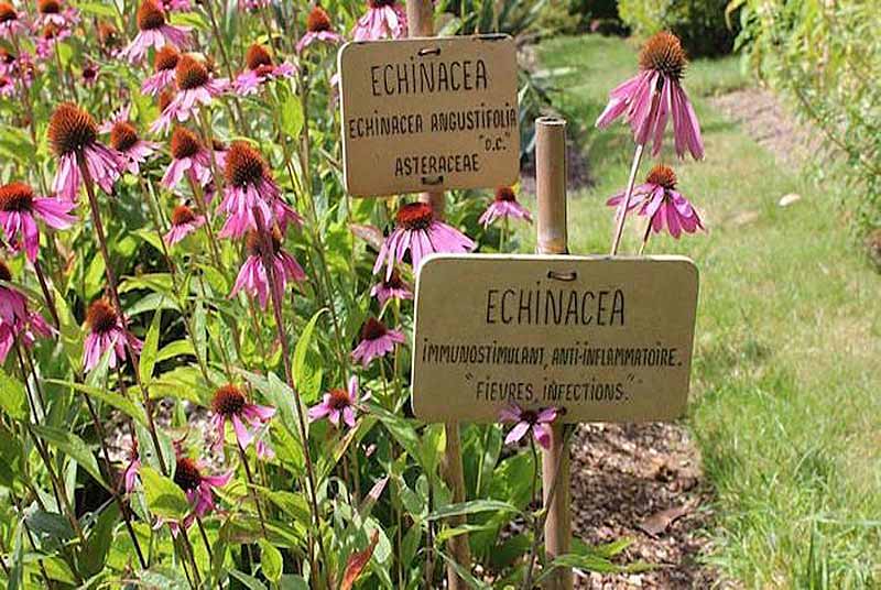 JARDIN NATUR'AILES, Varennes-sur-Amance - photo 7