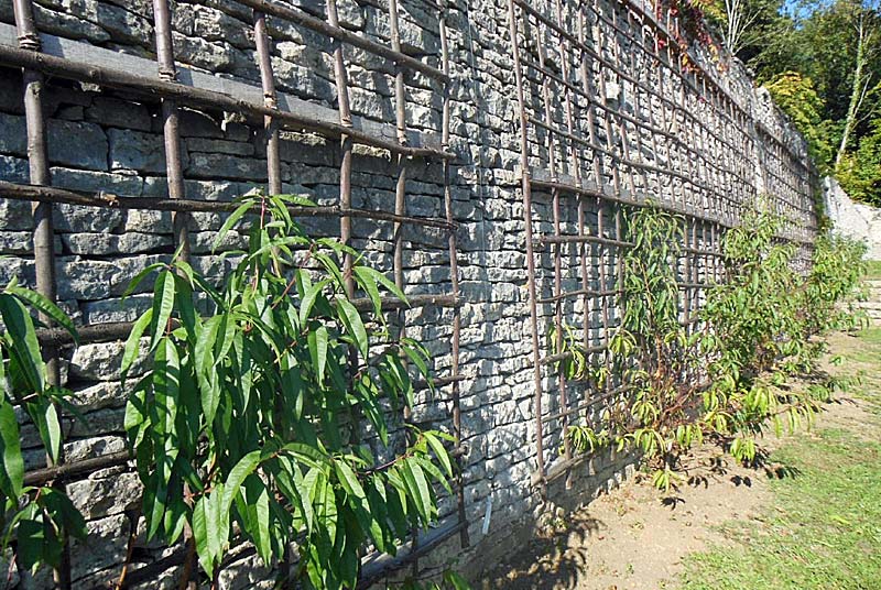 LES JARDINS SUSPENDUS : LE CLOS DE LA ROCHE, Cohons - photo 9