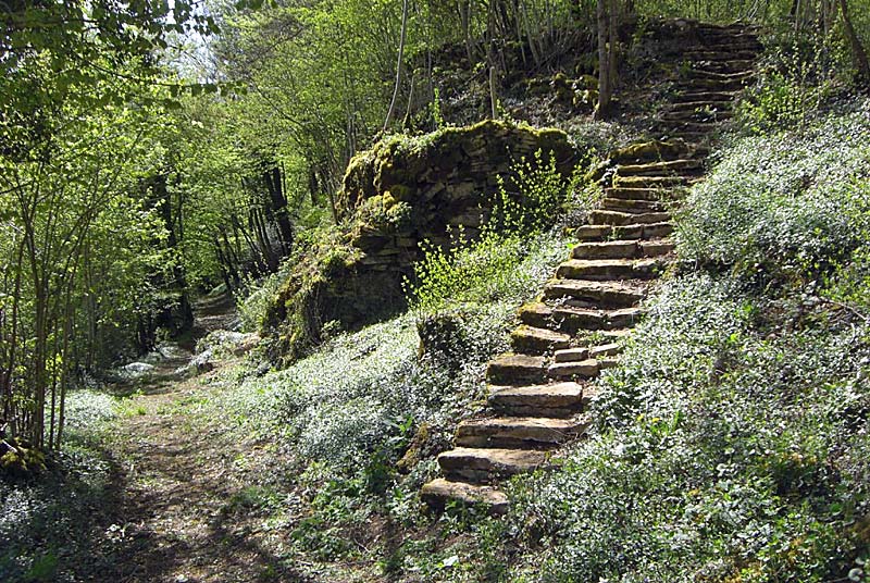 LES JARDINS SUSPENDUS : LE CLOS DE LA ROCHE, Cohons - photo 8