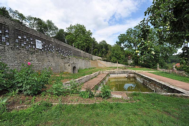 LES JARDINS SUSPENDUS : LE CLOS DE LA ROCHE, Cohons