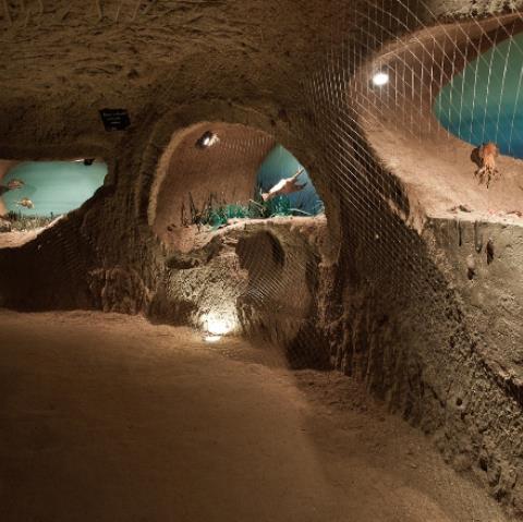 La Cave aux Coquillages - Fleury-la-Rivière