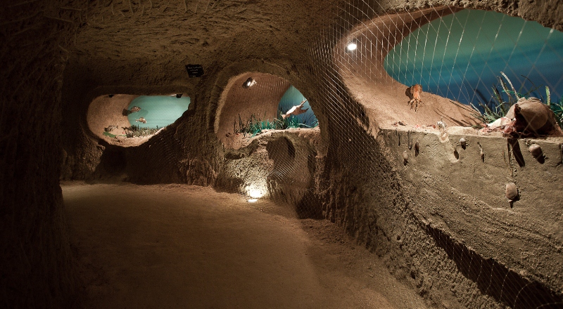 La Cave aux Coquillages - Fleury-la-Rivière
