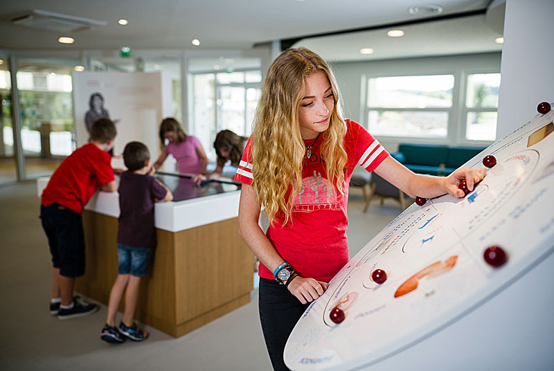LA DIVINE FROMAGERIE ET LE CAPRICE DES DIEUX
