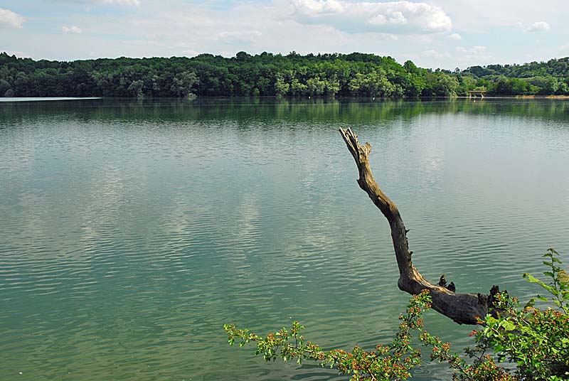 LAC DE CHARMES, Charmes - photo 21