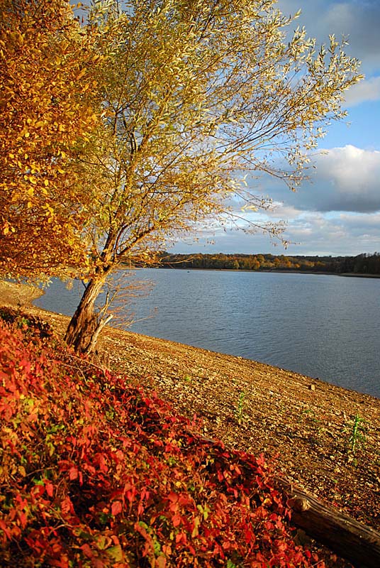 LAC DE CHARMES, Charmes - photo 15