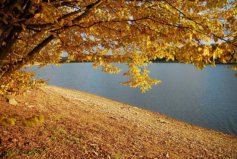 LAC DE CHARMES, Charmes - photo 5