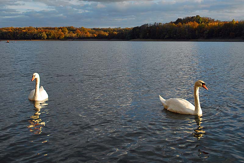 LAC DE CHARMES, Charmes - photo 8