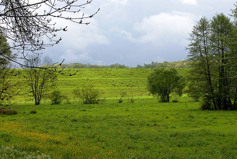 LAC DE CHARMES, Charmes - photo 6