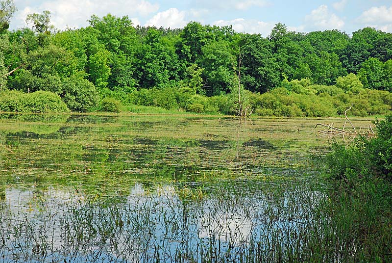 LAC DE LA LIEZ, Peigney - photo 7