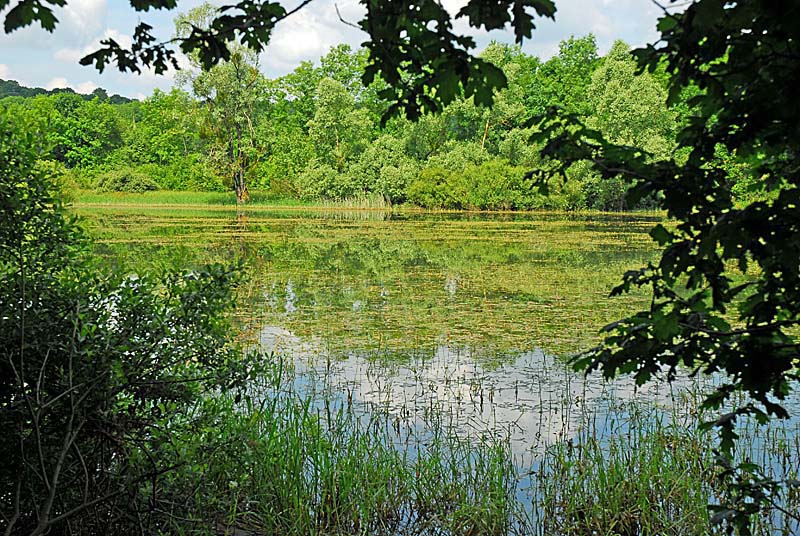 LAC DE LA LIEZ, Peigney - photo 3