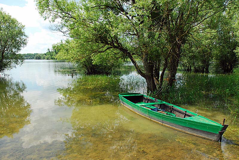 LAC DE LA LIEZ, Peigney - photo 23
