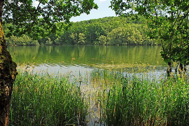 LAC DE LA LIEZ, Peigney - photo 15