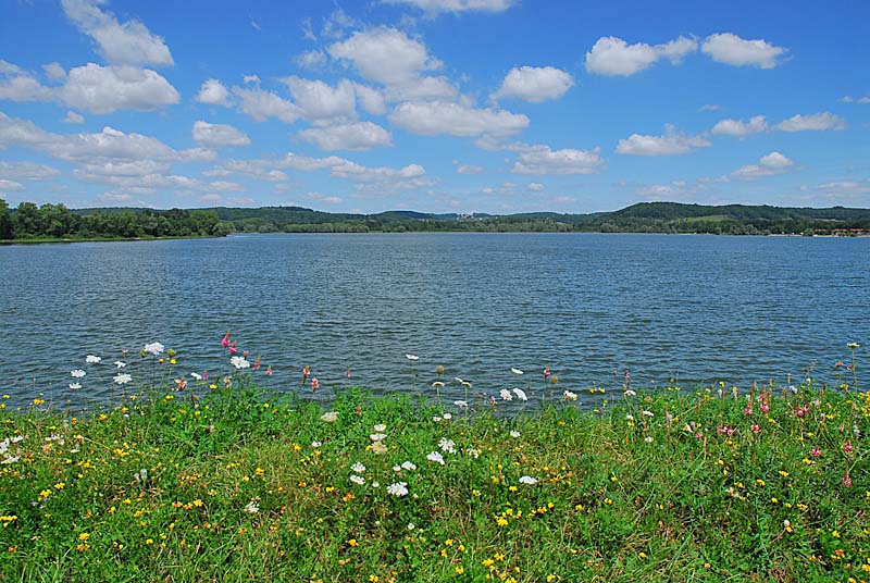Pelouse de la digue aux orchidées, Villegusien-le-Lac - photo 3
