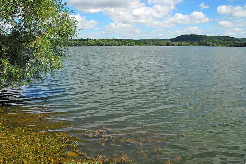 Lac de la Vingeanne, Villegusien-le-Lac - photo 6
