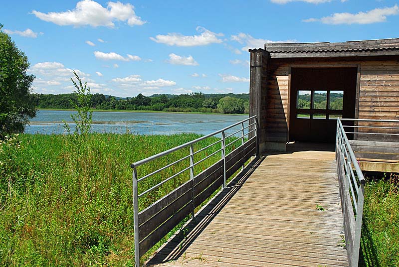 Lac de la Vingeanne, Villegusien-le-Lac - photo 2
