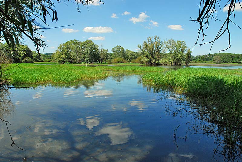 Lac de la Vingeanne, Villegusien-le-Lac - photo 13