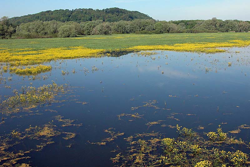 Lac de la Vingeanne, Villegusien-le-Lac - photo 9