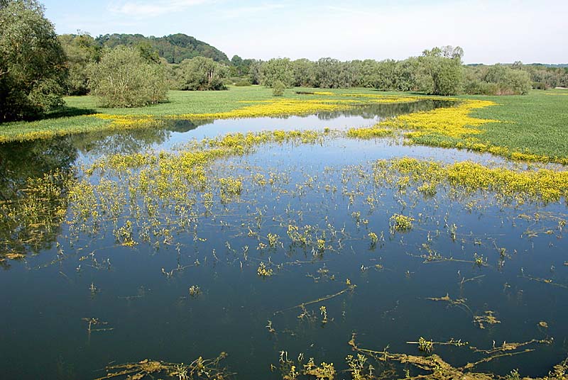 Lac de la Vingeanne, Villegusien-le-Lac - photo 4