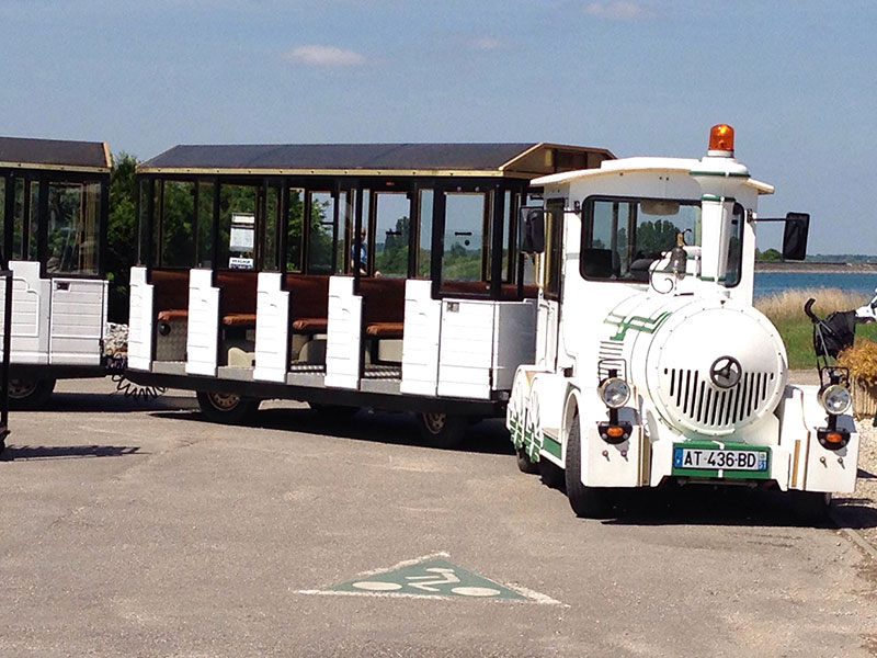 Le Train du Der, Giffaumont-Champaubert - photo 4