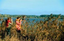 CLUB LEO LAGRANGE DE SAINT-DIZIER