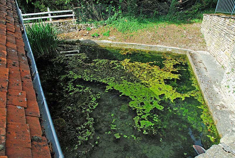 LAVOIR D'AUBIGNY-SUR-BADIN, Le Montsaugeonnais