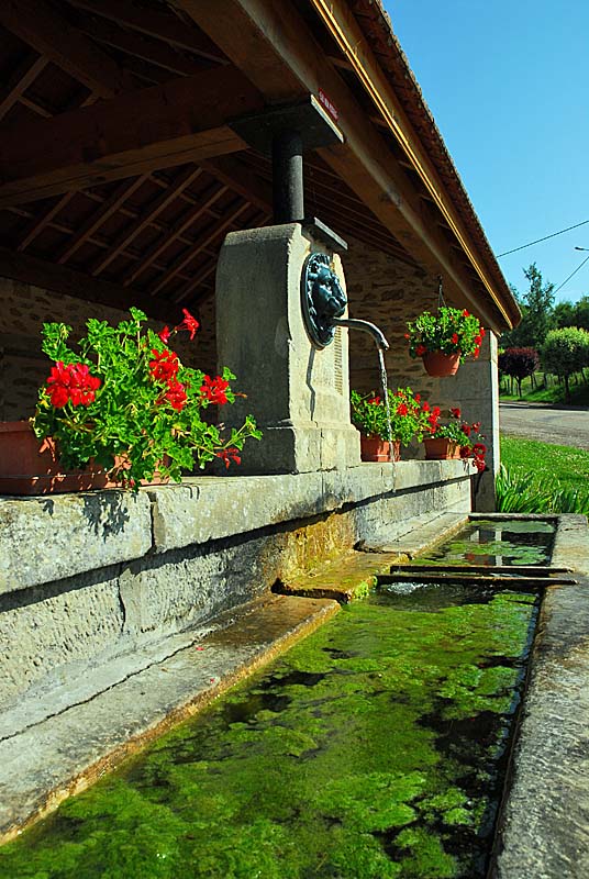 LAVOIR D'ORBIGNY-AU-VAL, Orbigny-au-Val - photo 5