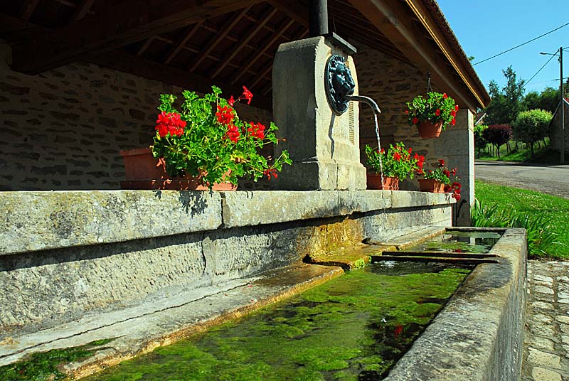 LAVOIR D'ORBIGNY-AU-VAL, Orbigny-au-Val - photo 4