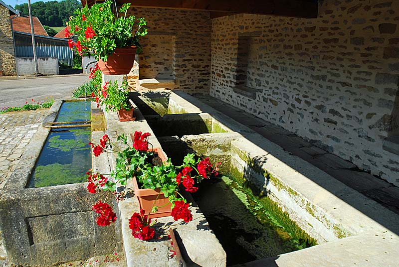 LAVOIR D'ORBIGNY-AU-VAL, Orbigny-au-Val - photo 3