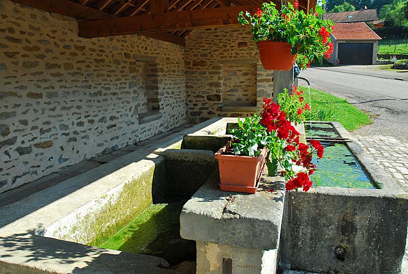 LAVOIR D'ORBIGNY-AU-VAL, Orbigny-au-Val - photo 8