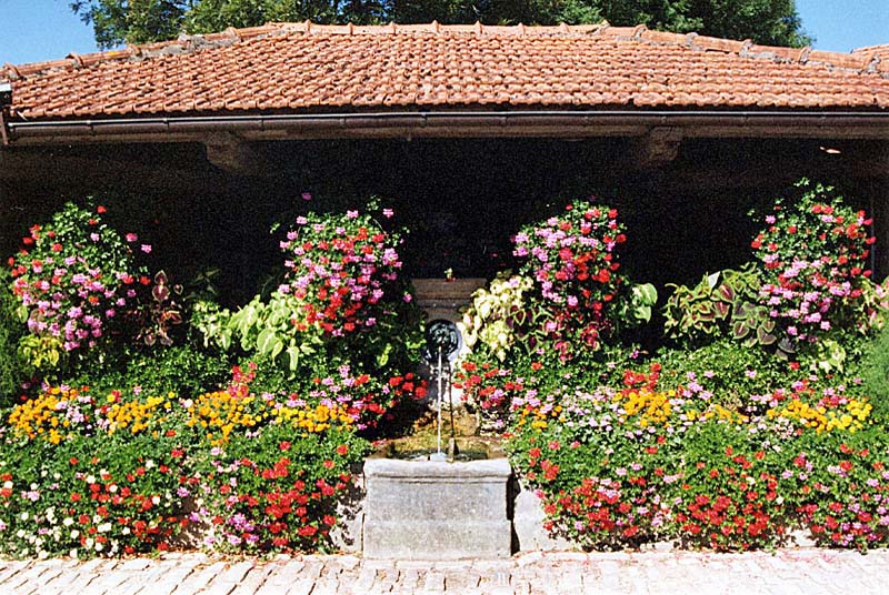 LAVOIR DE NOIDANT-LE-ROCHEUX (1), Noidant-le-Rocheux - photo 9