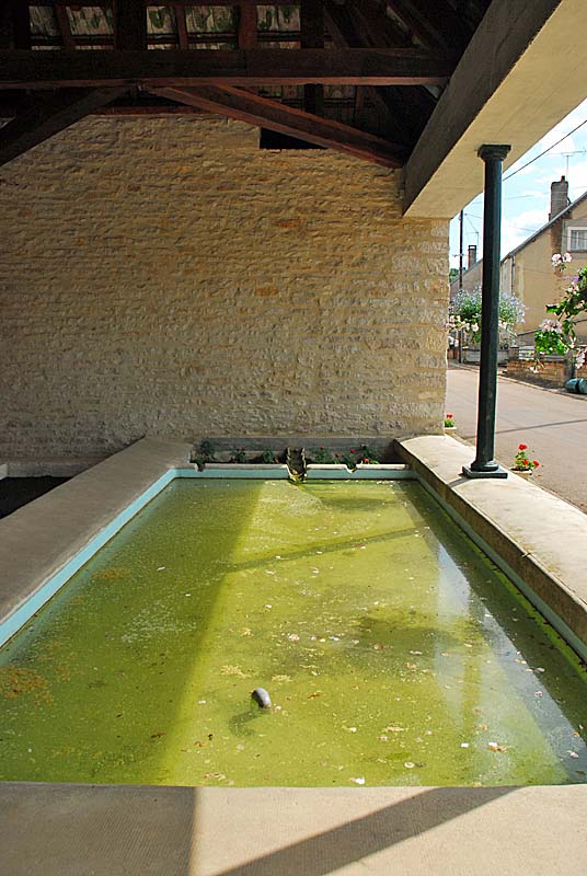 FONTAINE - LAVOIR CARTERET, Saint-Loup-sur-Aujon - photo 9