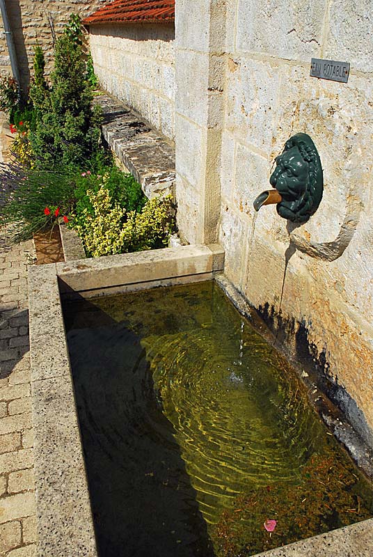 FONTAINE - LAVOIR CARTERET, Saint-Loup-sur-Aujon - photo 10