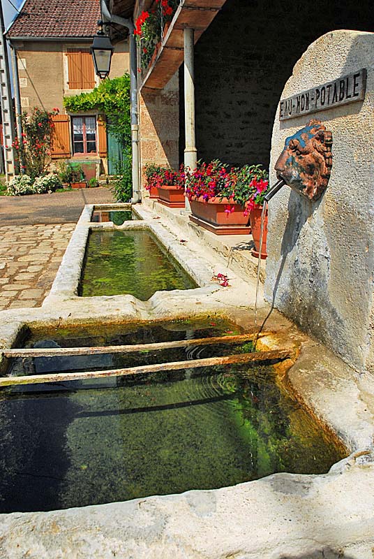 LAVOIR DE SAINT-MARTIN-LES-LANGRES, Saint-Martin-lès-Langres - photo 4