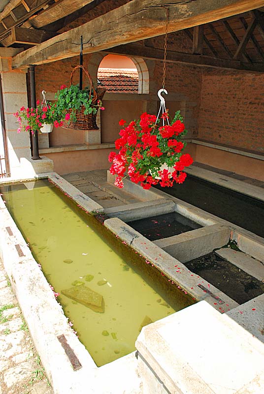 LAVOIR DE SAULLES (1), Saulles - photo 18