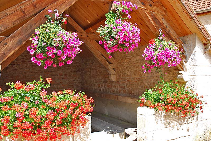 LAVOIR DE VIVEY, Vivey - photo 8