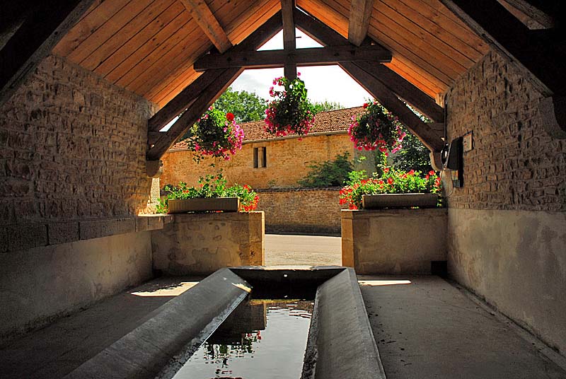 LAVOIR DE VIVEY, Vivey - photo 2