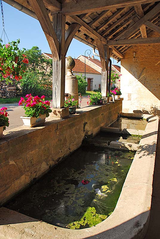 FONTAINE RONDE ET LAVOIR DE TERNAT, Ternat - photo 10