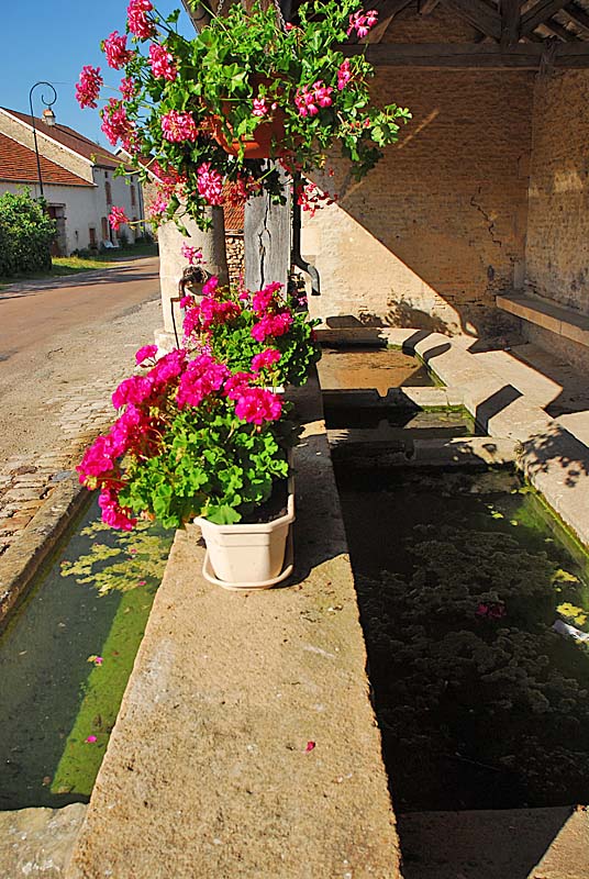 FONTAINE RONDE ET LAVOIR DE TERNAT, Ternat - photo 8